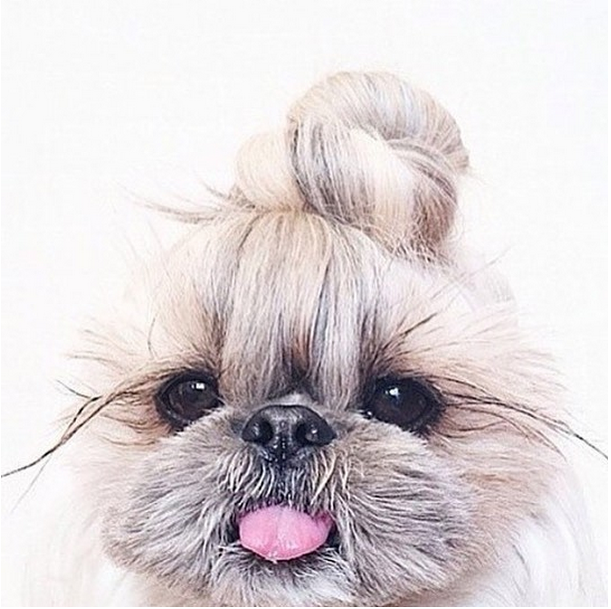 So fab <3 So fab <3